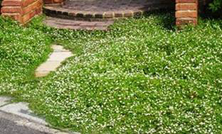 f0067815_10216.jpg