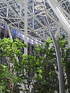 e0109817_72926.jpg