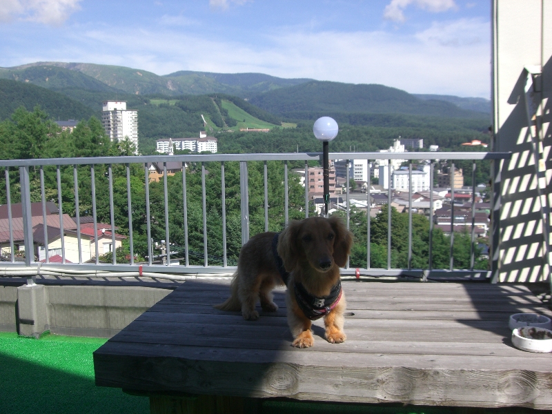d0023818_9293351.jpg