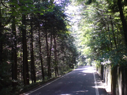 e0057035_20433563.jpg