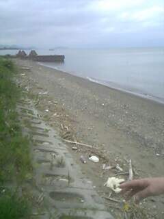e0126541_0104669.jpg