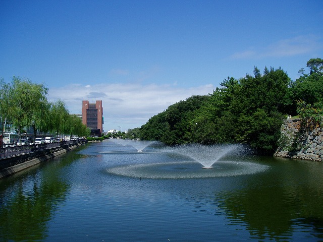 お盆の墓参り_c0107149_71535100.jpg