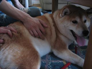 鈍い反応_c0049950_19252291.jpg