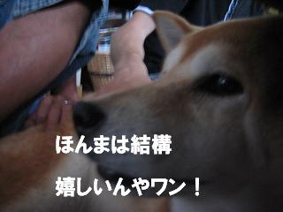 鈍い反応_c0049950_1927532.jpg