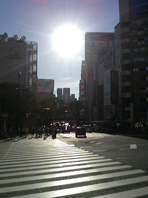a0013854_17272844.jpg