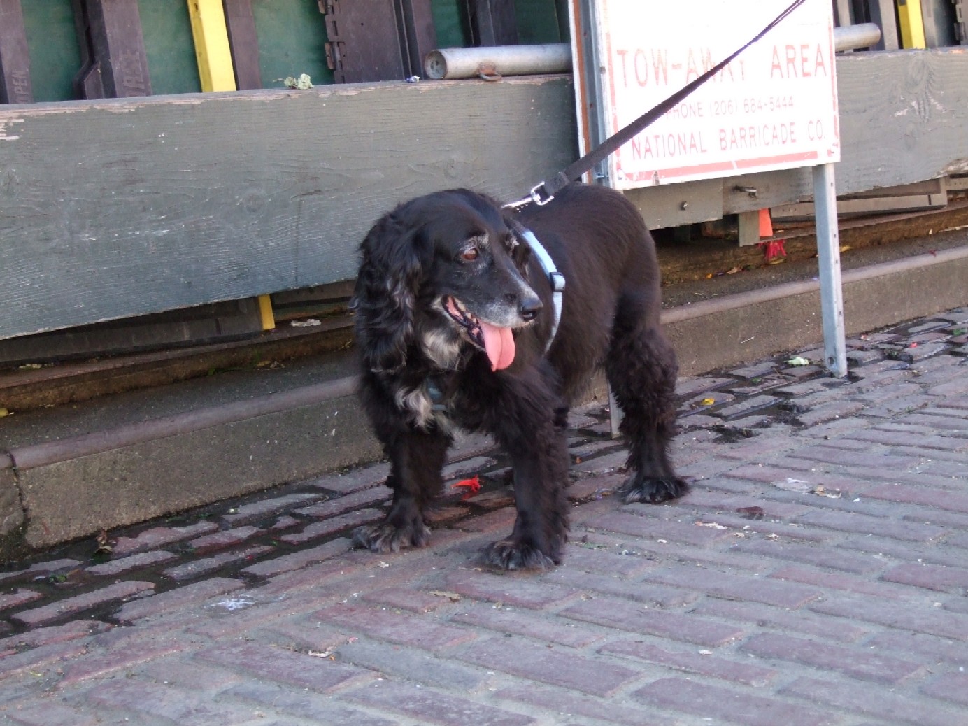 f0136555_88147.jpg