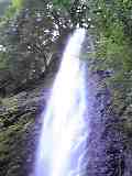 d0007957_02474.jpg