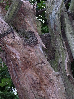 b0120159_0163.jpg