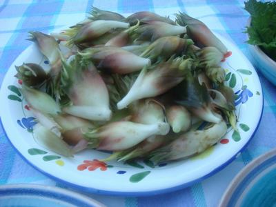 d0100880_148885.jpg