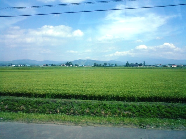 c0099182_13285928.jpg