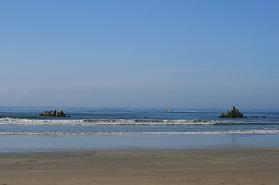 d0121294_03163.jpg