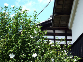 c0124998_2238631.jpg