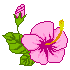 a0050302_3282338.gif