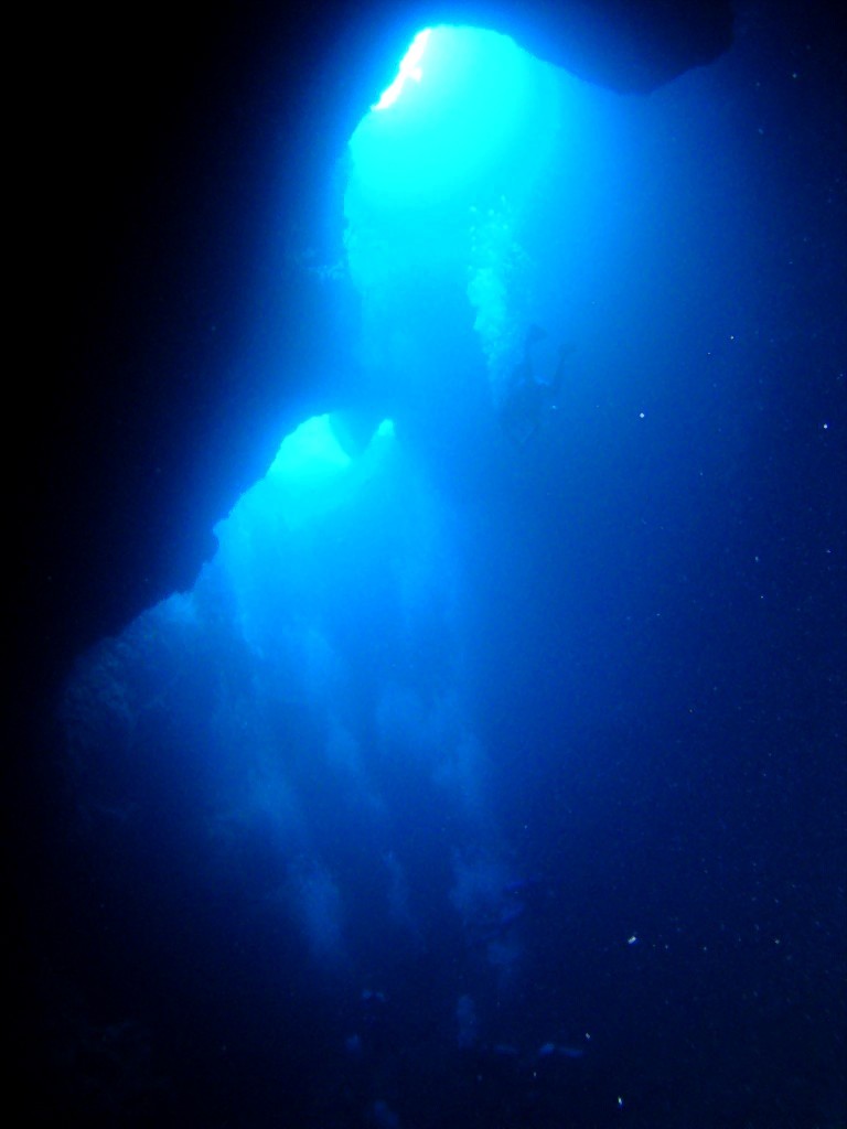 c0071003_10113322.jpg