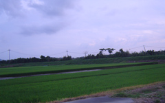 c0052304_12393997.jpg