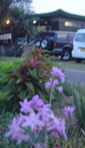 c0052304_12492118.jpg