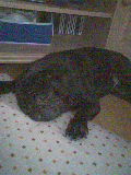 c0023406_1715663.jpg