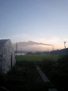 最低気温_d0099708_633276.jpg