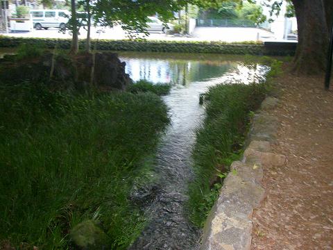 c0097309_6555524.jpg