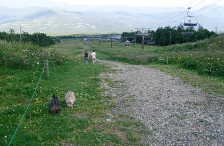 e0078510_13155477.jpg
