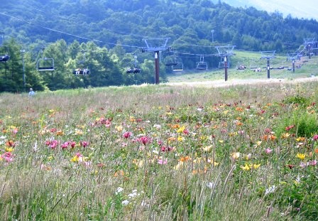 e0078510_13251986.jpg