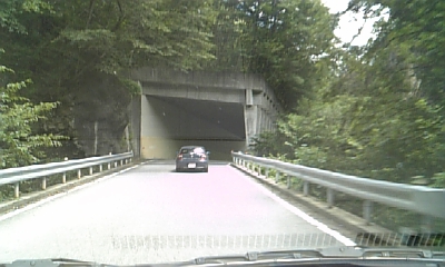 e0072113_39447.jpg