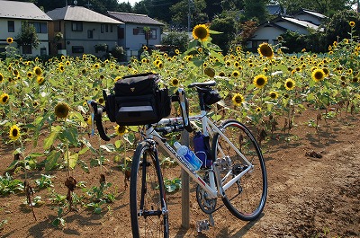 ８月１５日　境川ポタリング_c0128722_21155248.jpg