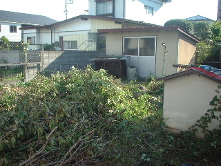 伐採作業_f0031037_19435442.jpg