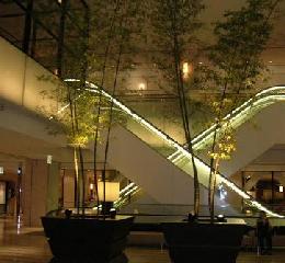 b0007143_16432753.jpg