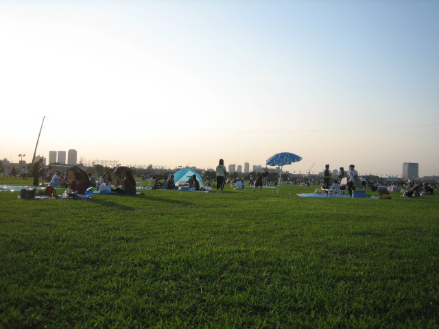 e0009547_2358276.jpg