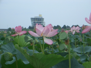 e0094656_22351235.jpg