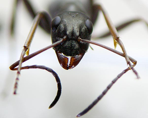 e0035757_2129113.jpg