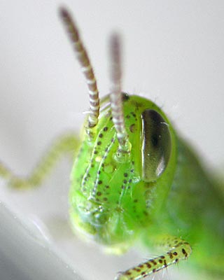 e0035757_2249644.jpg