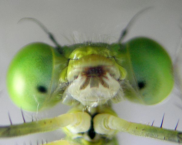 e0035757_2351345.jpg