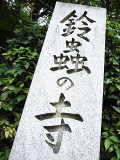 d0090161_727566.jpg