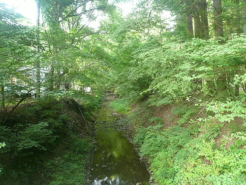 軽井沢の夏休みと麦わら帽子。..。.゚。*・。♬♪ _a0053662_2316248.jpg