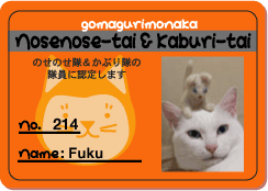 のせかぶ新隊員No.213ねねちゃん&214ふくちゃん　_a0064067_9522621.gif