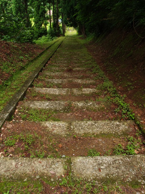 a0025576_903668.jpg