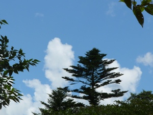 f0047884_20152267.jpg