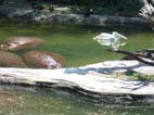 b0060091_019088.jpg