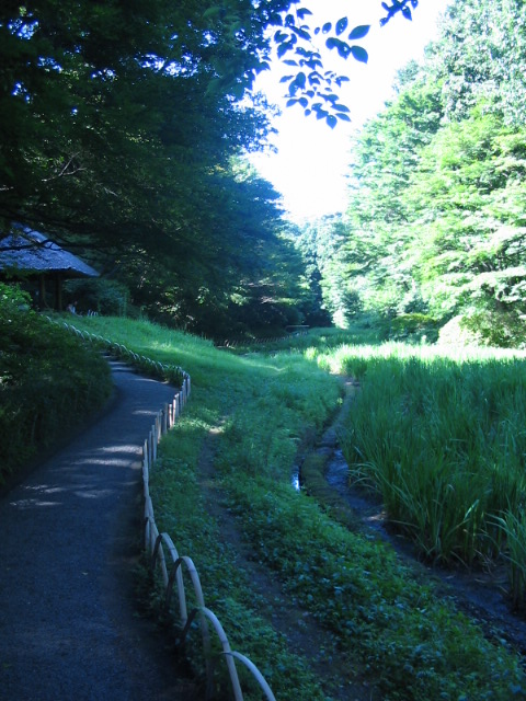 夏休み いろいろ_a0091095_8244121.jpg