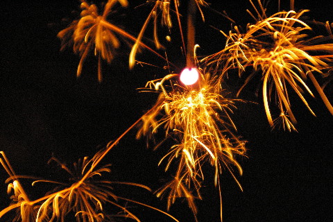 c0039898_17362021.jpg