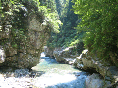 b0108100_2223139.gif