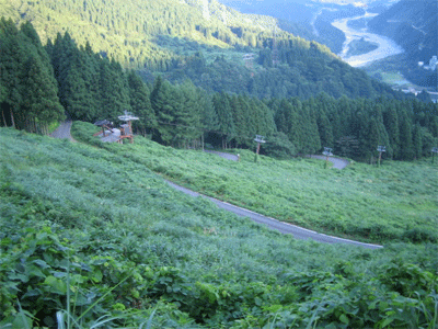 b0108100_2225378.gif