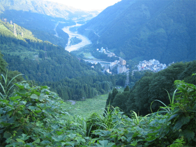 b0108100_2229408.gif