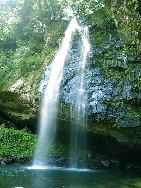 c0037400_102340.jpg