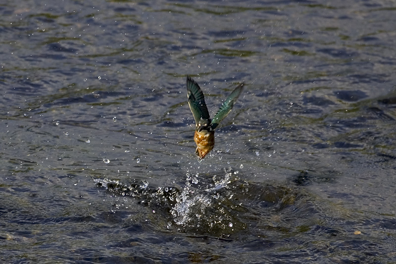 f0063403_22143681.jpg