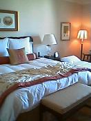 e0045108_0103182.jpg