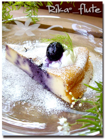 ブルーベリーチーズケーキ_c0103827_19424735.jpg