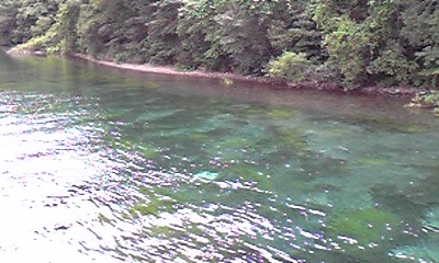 f0016929_16387.jpg